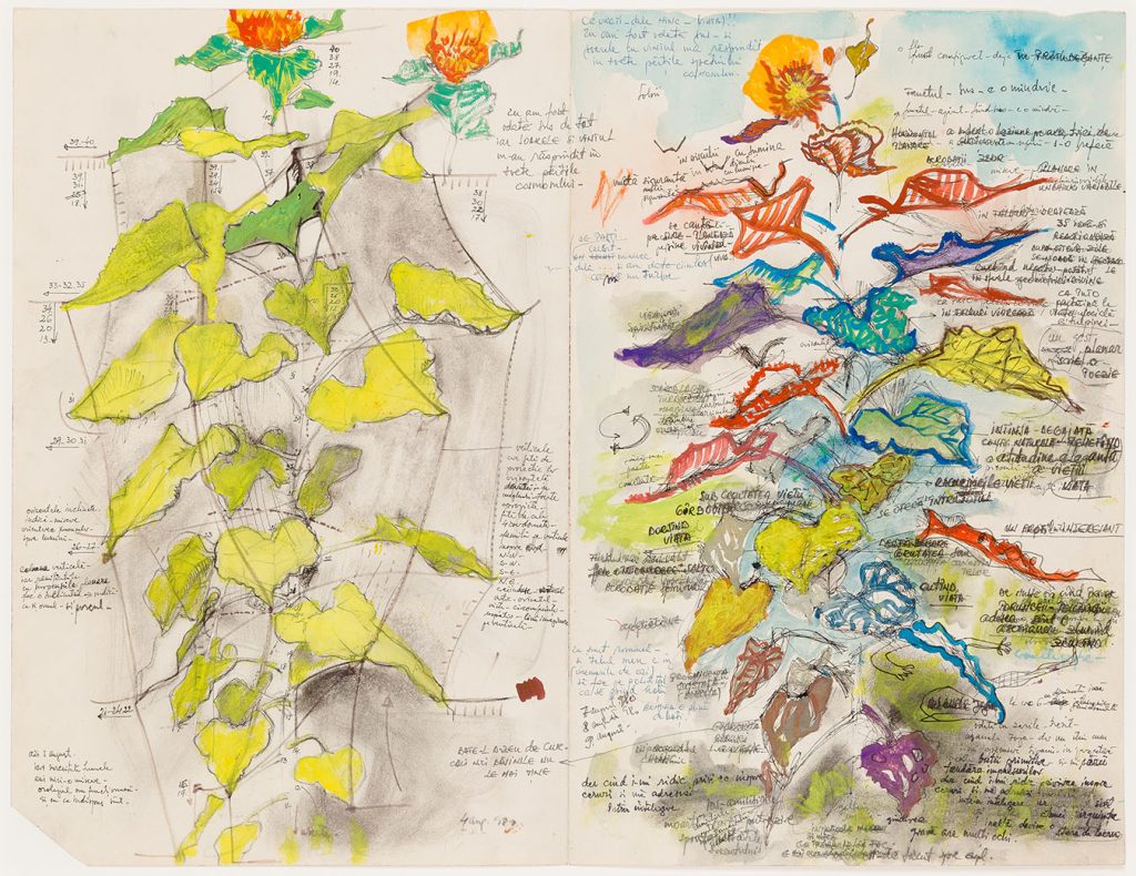 La Brique/ The Brick/ Cărămida